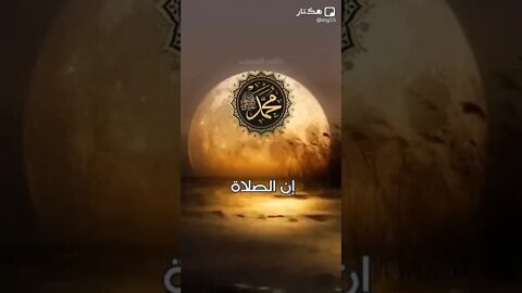 ٤ نوفمبر، ٢٠٢٢