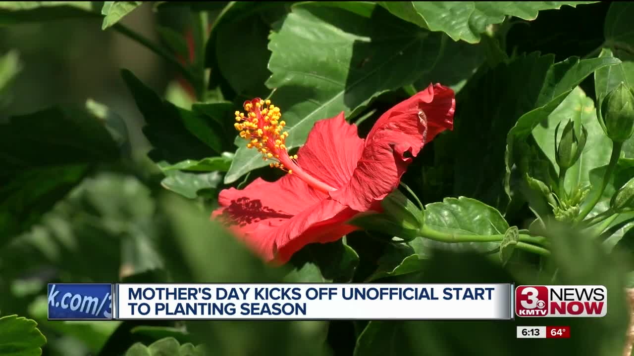 Mother's Day kicks off the unofficial start to planting season