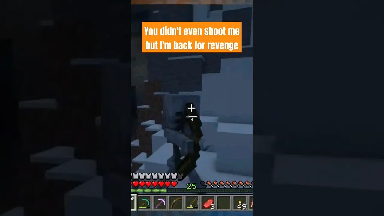 questionable revenge logic #minecraft