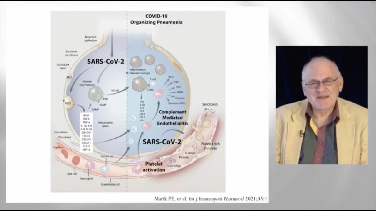 Dr. Paul Marik - A Focus on the Clinical Management of COVID-19