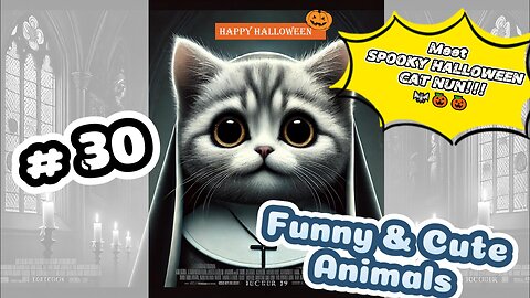 🎃Halloween Special 👻When a Cat Becomes a Spooky Nun - 😹😹😹Too Cute to Be Scary! #30