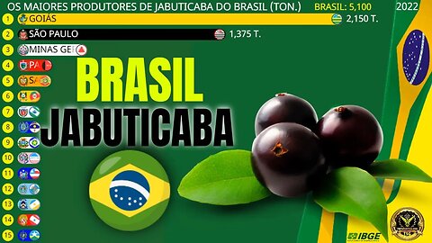 Os Maiores Produtores de JABUTICABA do Brasil