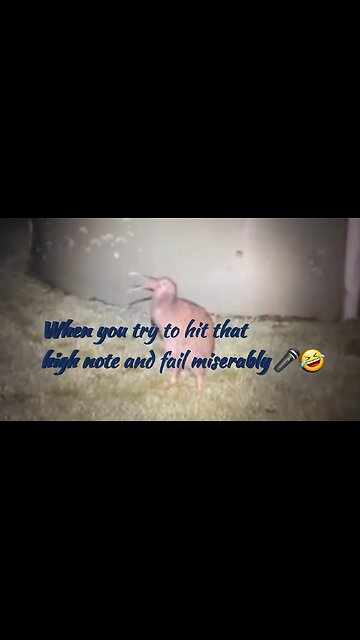 When you try to hit that high note and fail miserably 🎤🤣