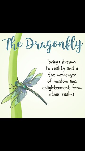 Dragonfly quote [GMG Originals]