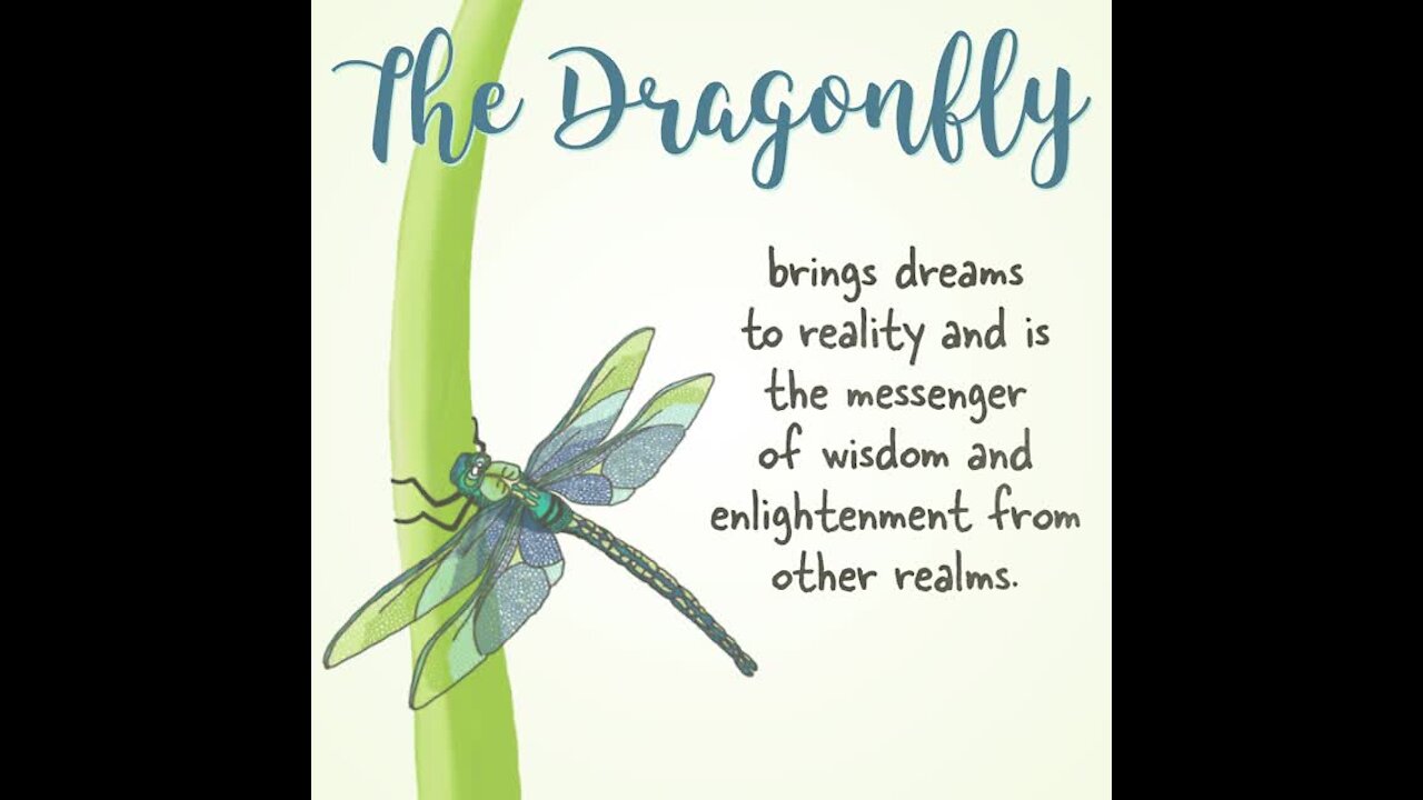 Dragonfly quote [GMG Originals]