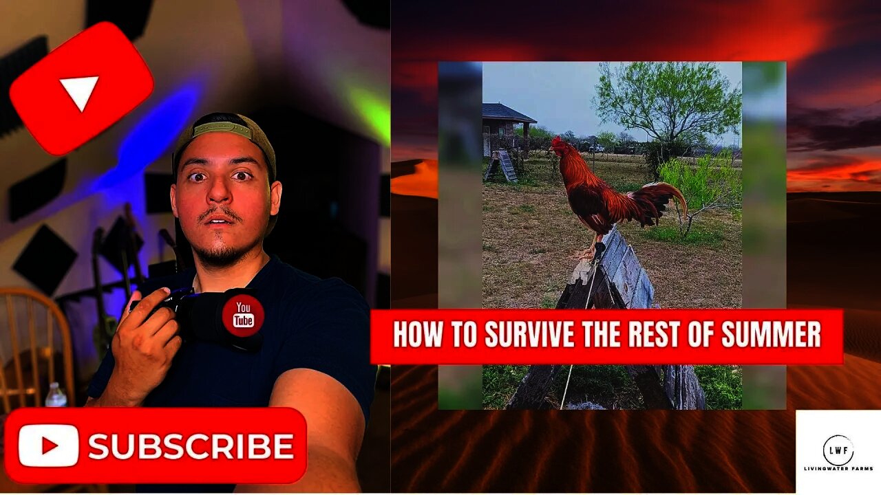 HOW TO SURVIVE THE REST OF THE SUMMER : GAMEFOWL FARM TIPS