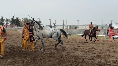 Warrior Horse Relays coming to Lethbridge - September 21, 2022 - Naveen Day