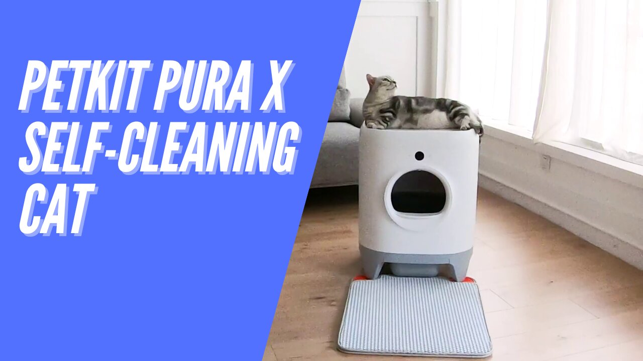 PETKIT Pura X Self-Cleaning Cat Litter Box, No Scooping Automatic Cat Litter Box fr Multiple Cats