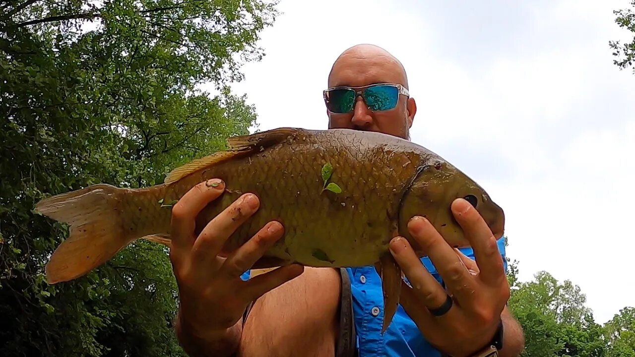 Summertime multi species creek fishing in Ohio