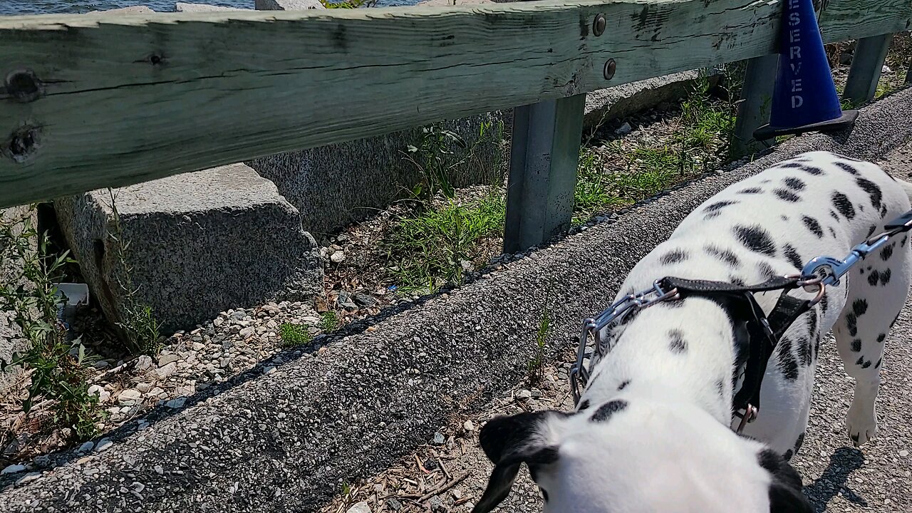 Luna visits Naval Academy