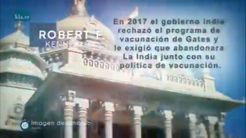 Resumen de grandes obras benéficas de Kill Bill