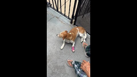 July 15, 2024 Morning Message