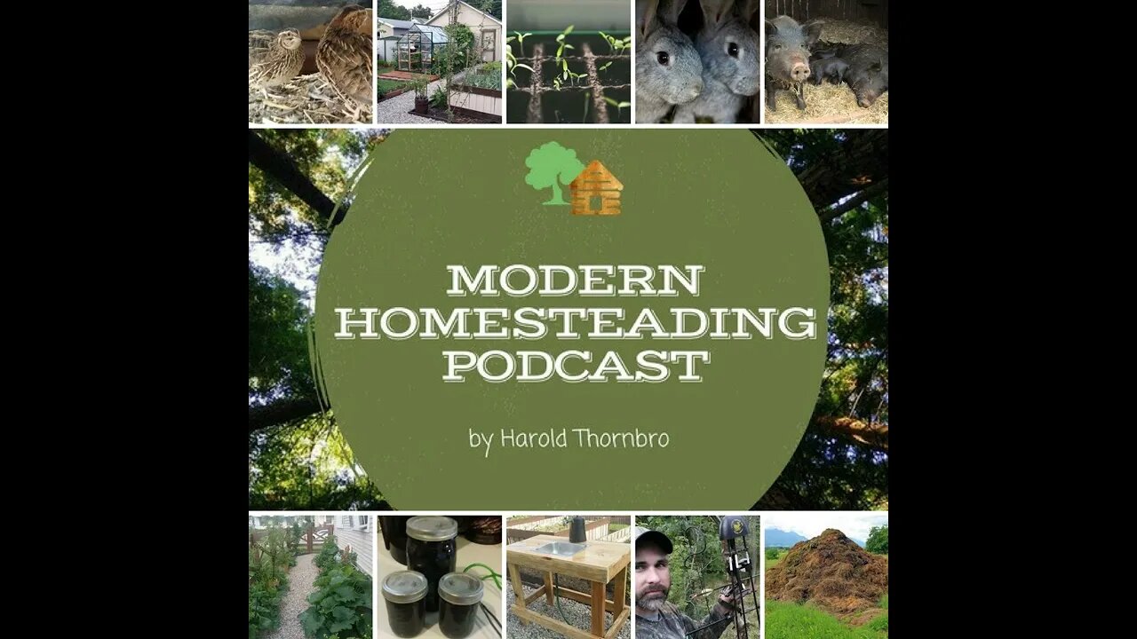 Should You Grow A Food Forest On Your Property? - Modern Homesteading Podcast