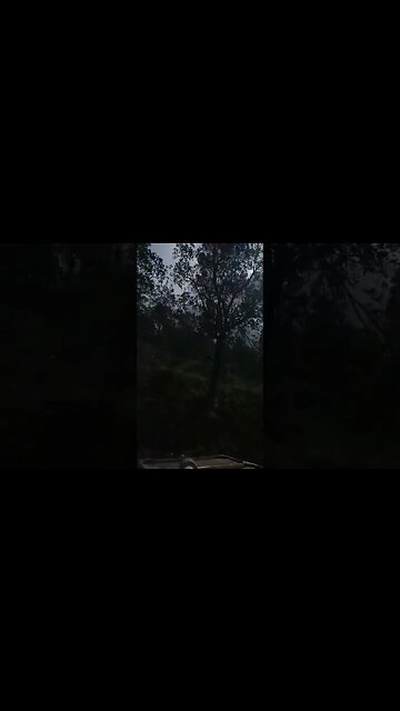 preping eucalyptus poles and bursting a light beam hole in the sky 🔥 🌞