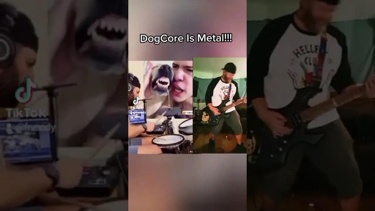 This is DoggyStyle #memes #memesbr #memesdaily #memesvideo #dogs #metal #viral #trending #shorts