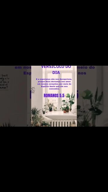 VERSÍCULO DO DIA 13/11/2022.#shorts