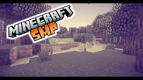 Minecraft SMP | Mrmagoo0325 Smp