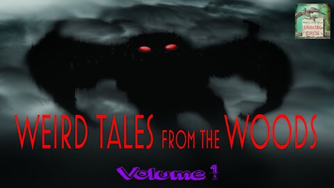 Weird Tales From The Woods | Volume 1 | Supernatural StoryTime E159