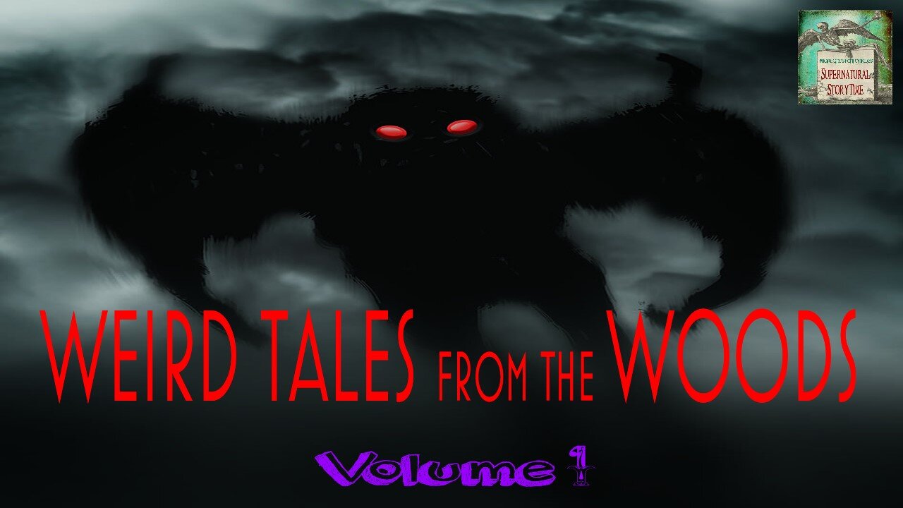 Weird Tales From The Woods | Volume 1 | Supernatural StoryTime E159