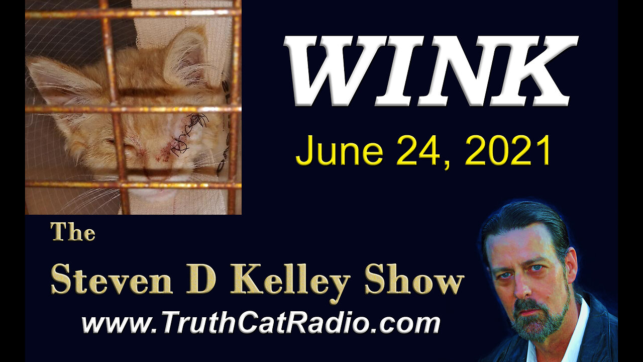 Wink, The Steven D Kelley Show June-24-2021