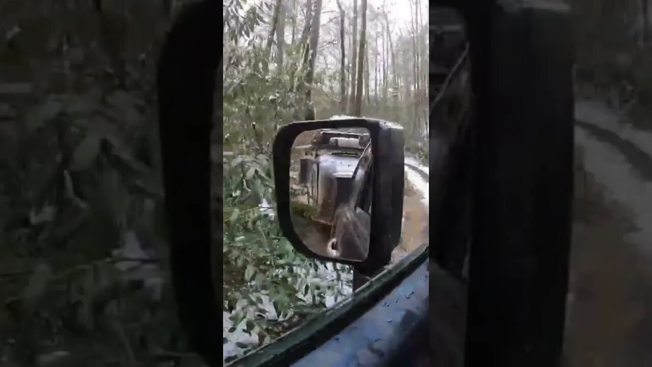 Exploring the wilderness in a 4x4. Cohutta in a Jeep CJ and Toyota FJ Cruiser
