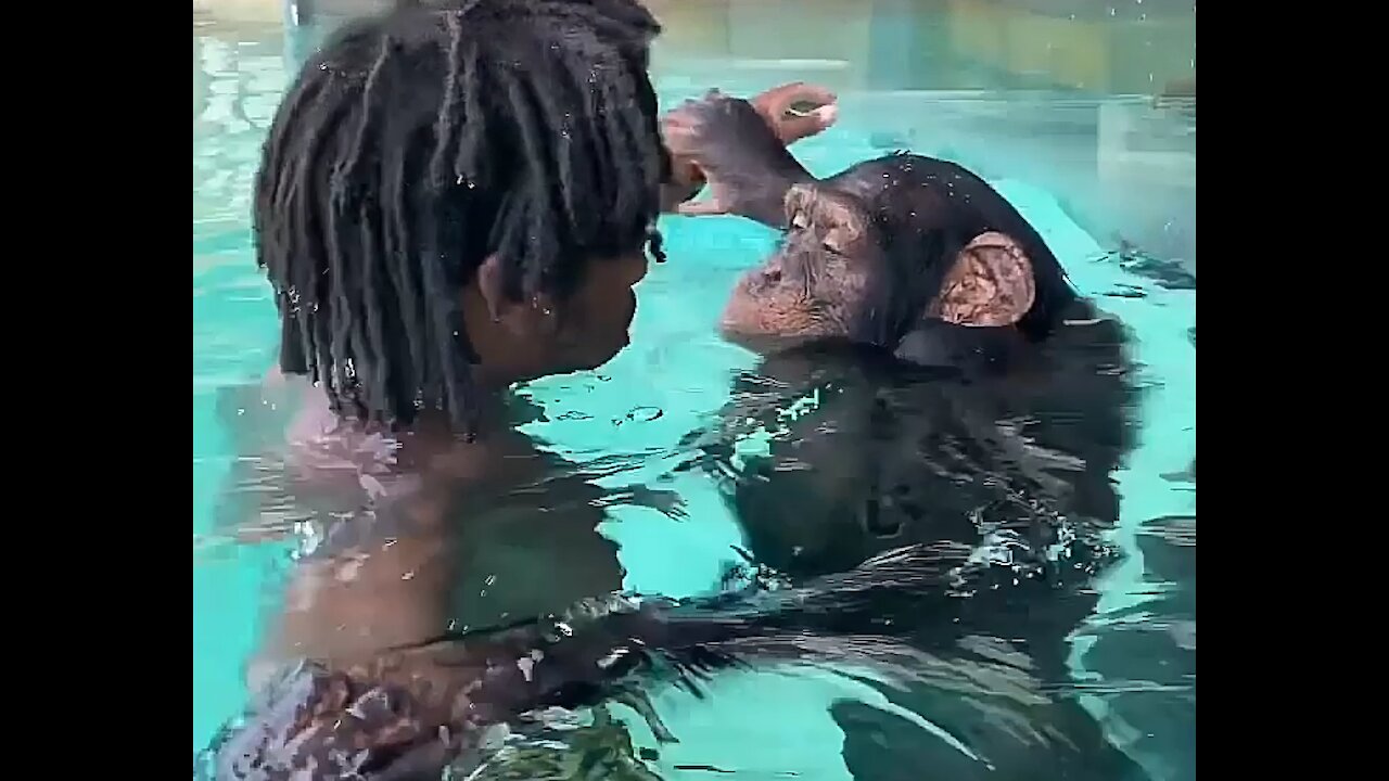 Bath with monkey friends