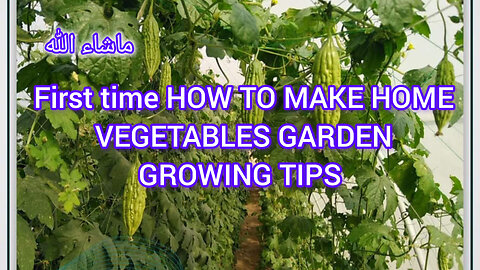 Home Vegetable Garden Ideas for Beginners - Grow Your Own Veggies