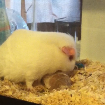 The Best Birthday Anyone Could Wish For