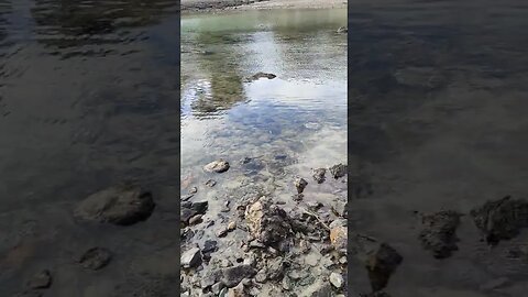 Enclosure Bay Waiheke