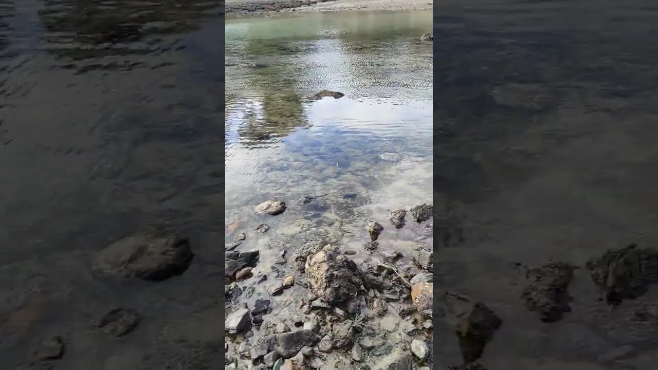 Enclosure Bay Waiheke