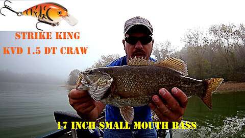 My New Favorite Lure Strike King KVD 1.5 DT Craw Crankbait