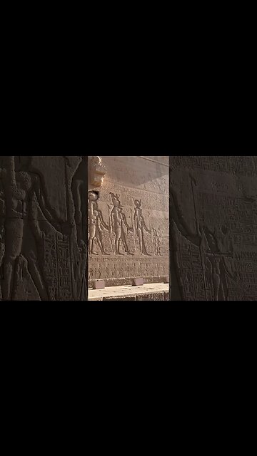 YOU THOUGHT YOU WERE OLD! 😆