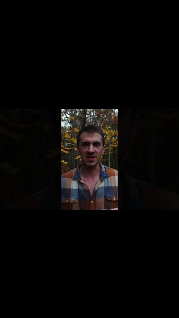 Does Lightning make Mushrooms Multiply?