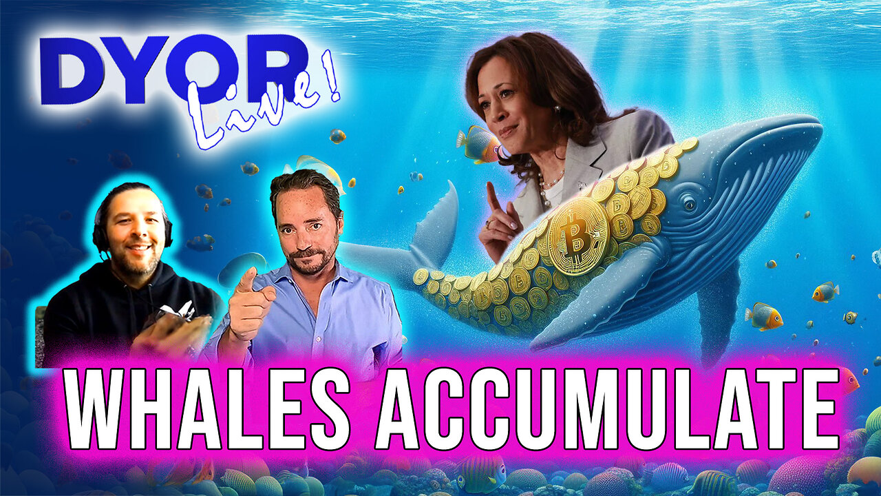 DYOR Live: Bitcoin - Whales Continue to Accumulate