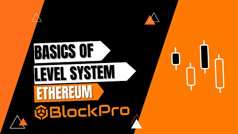 Basics Of The Level System