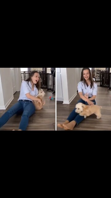 Puppy Ecstatic To See Owner After Three Days Apart