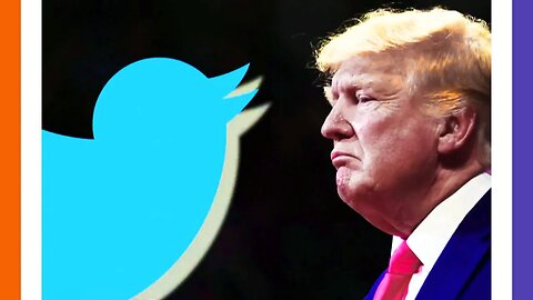 Pt1 Twitter Files The Banning of Donald Trump 🟠⚪🟣 The NPC Show