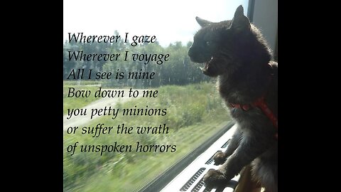 Cat supremacy rules, stop looking cute! "Mjau!" as we say in Swedish. My late cat Lilo