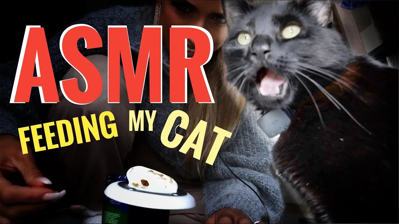 ASMR Gina Carla 🐈‍⬛ Ear Eating Extreme 🥴