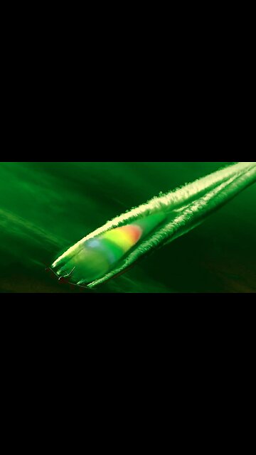 HAARP, Chemtrails, and Geoengineering: