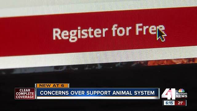 Some concerned over emotional support animal system