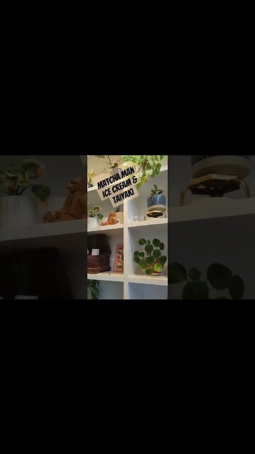 Sweet treats from Matcha Man in Georgetown Seattle WA! #icecream #taiyaki #seattle