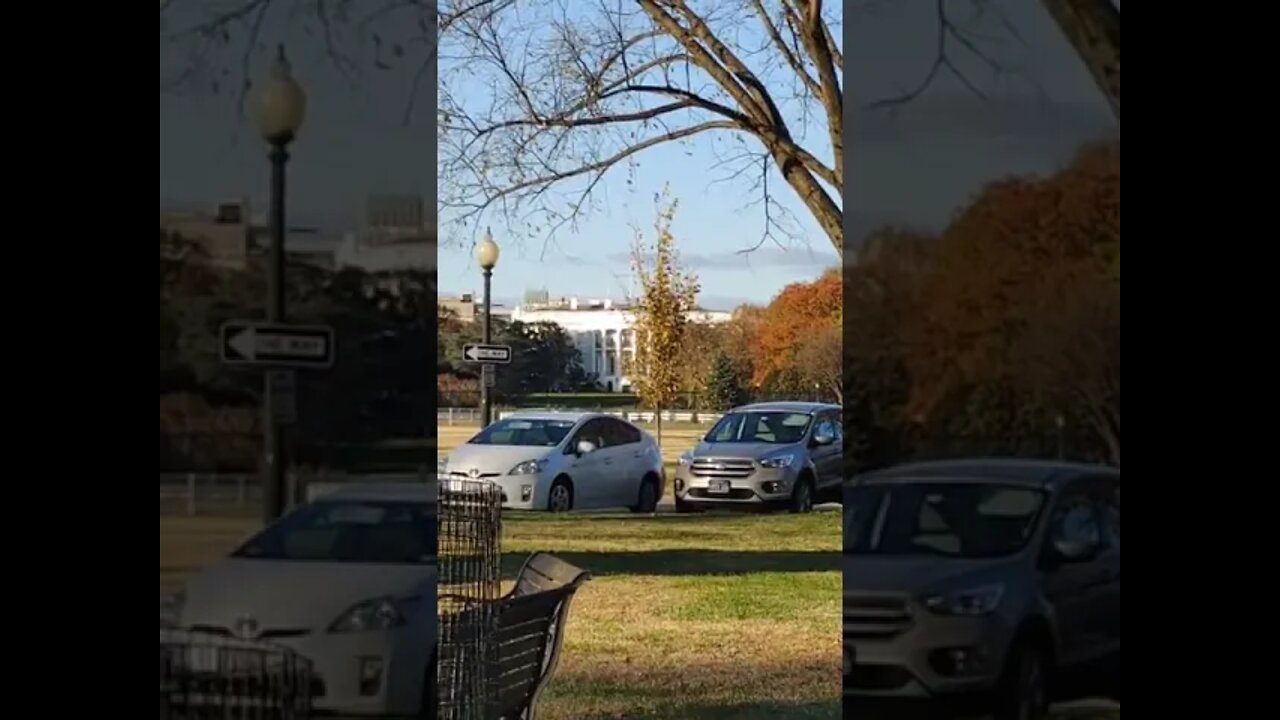 11/19/21 Nancy Drew in DC-No Turkey Pardon Today- Sleepy Colon Cleanse- Article link in Comments.