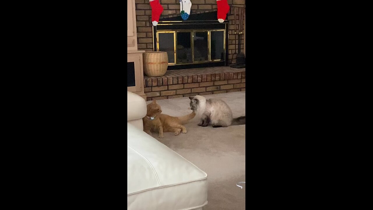 You see…they really do appreciate each other.
