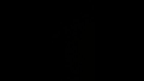 How to pronounce bachelors degree