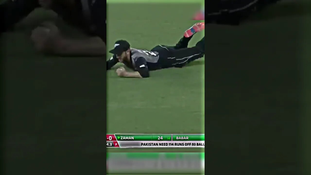 Kane Williamson stunning catch 🎯🤡 #shorts #cricket