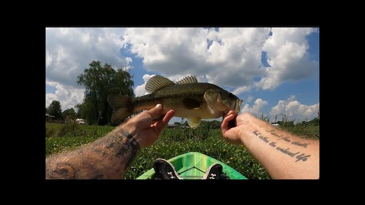 25+ TOPWATER BASS BLOWUPS