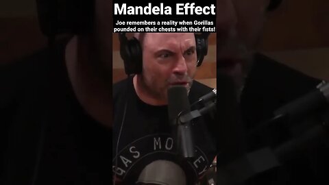 Joe Rogan recalls a reality where gorillas pounded on their chests with their fists. #mandelaeffect