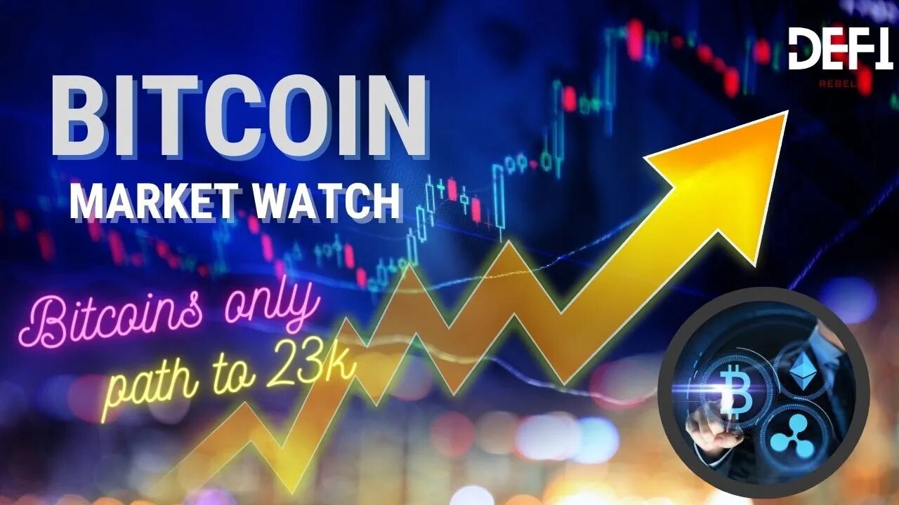 Bitcoin Market Update | BTC Only Path to 23k | Fed Powell Dump Tomorrow? | Crypto TA