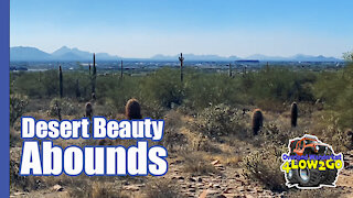 McDowell Gateway Nature Hike | Hiking in the desert